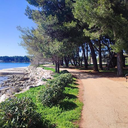 Apartments Novigrad Новиград Экстерьер фото