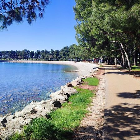 Apartments Novigrad Новиград Экстерьер фото