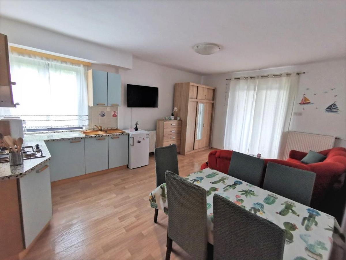 Apartments Novigrad Новиград Экстерьер фото