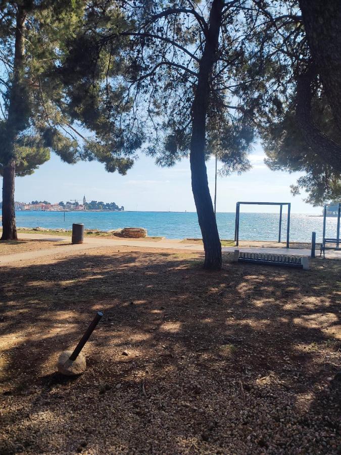 Apartments Novigrad Новиград Экстерьер фото