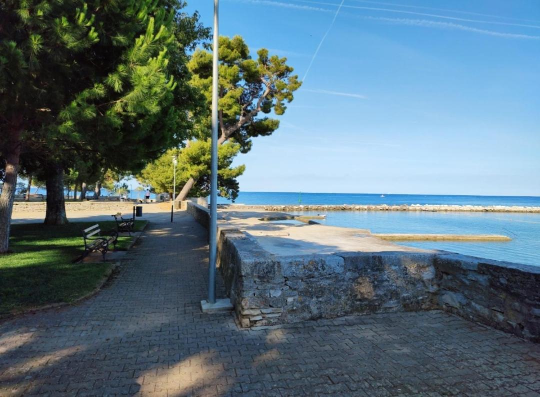Apartments Novigrad Новиград Экстерьер фото